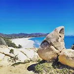 Il Glicine 维拉西米乌斯