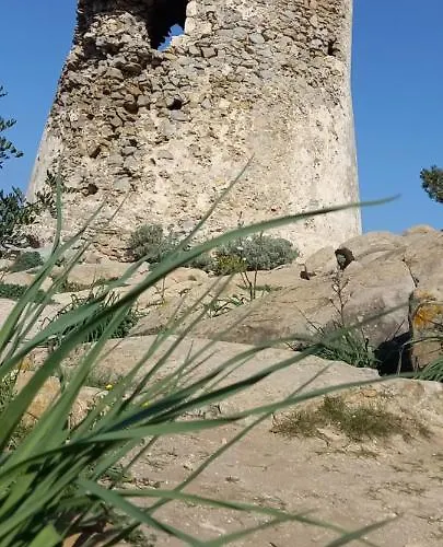 Daire Il Glicine Villasimius